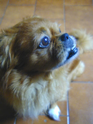 im Profil
