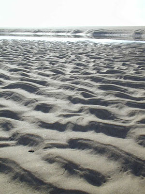 Strandstruktur