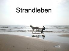 Strandleben